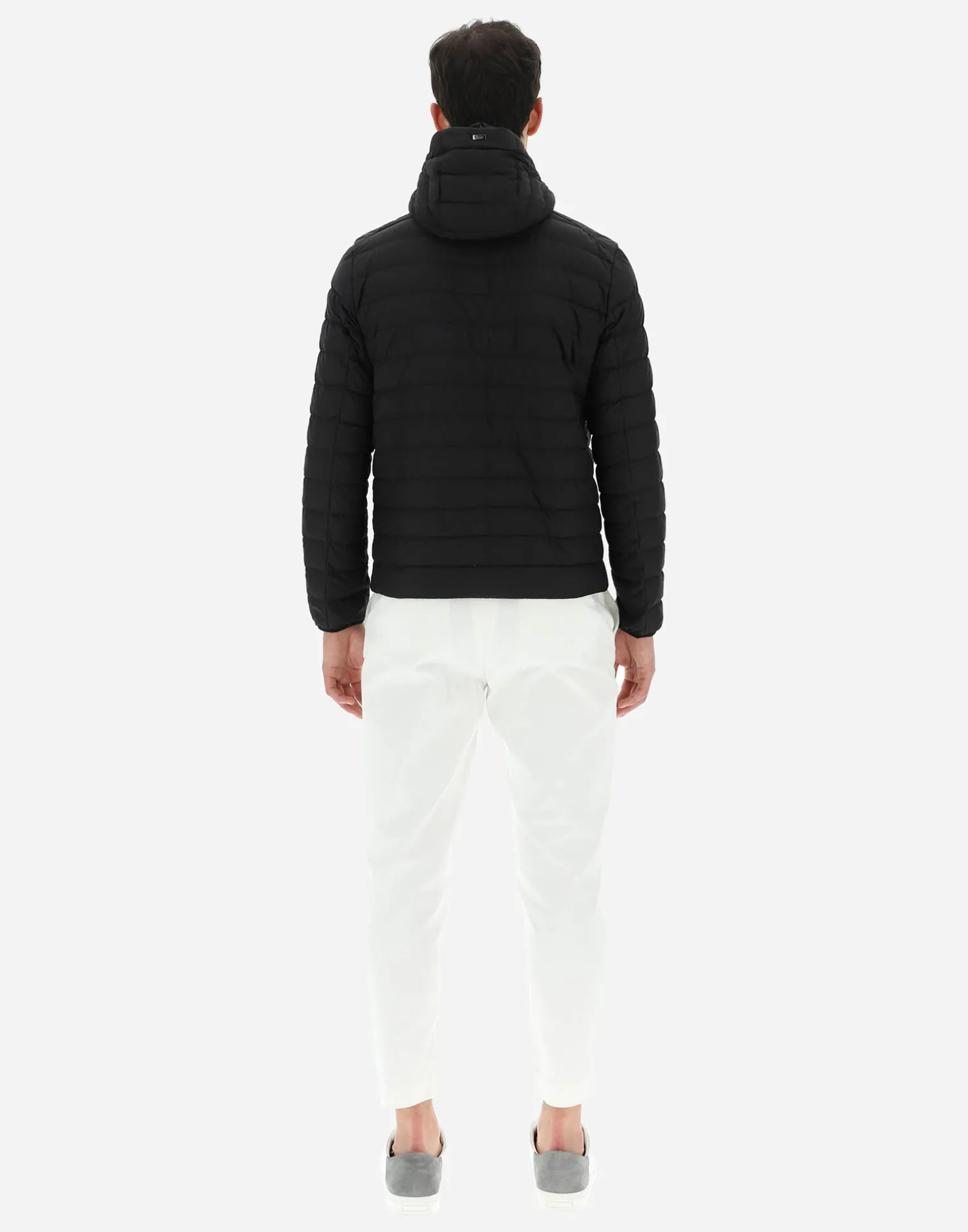 Herno Bomber|Men Bomber